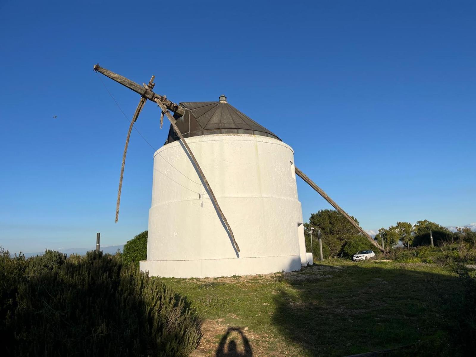 Estudio Los Mellis Vejer de la Frontera Εξωτερικό φωτογραφία