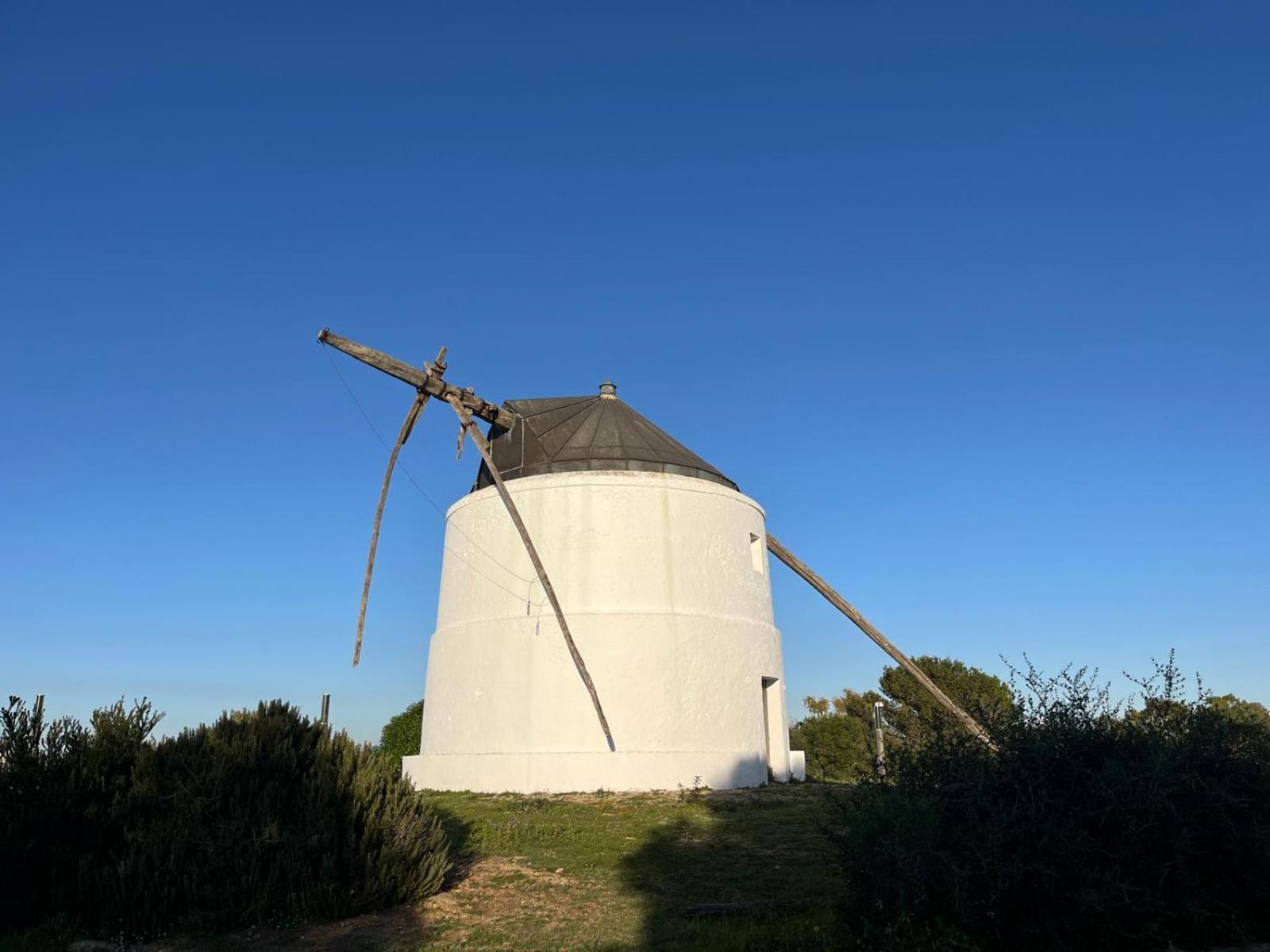 Estudio Los Mellis Vejer de la Frontera Εξωτερικό φωτογραφία
